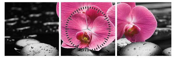 Kép - Rózsaszín orchideák (órával) (90x30 cm)