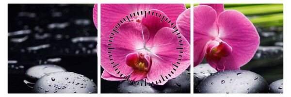 Kép - Rózsaszín orchidea pálmalevéllel (órával) (90x30 cm)