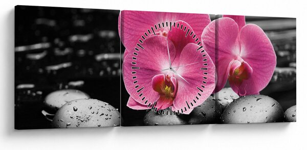 Kép - Rózsaszín orchideák (órával) (90x30 cm)