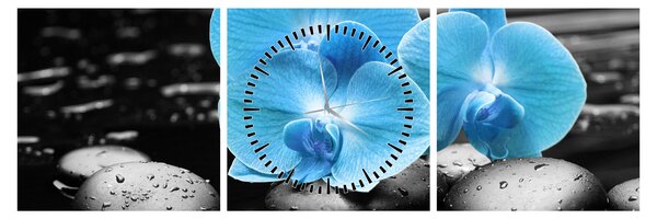 Kép - Kék orchidea (órával) (90x30 cm)