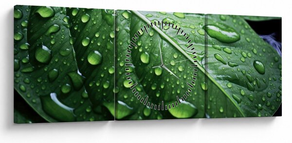 Kép - Részlet levél eső után (órával) (90x30 cm)