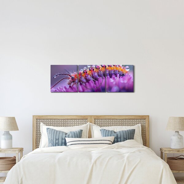 Kép - Caterpillar (órával) (90x30 cm)