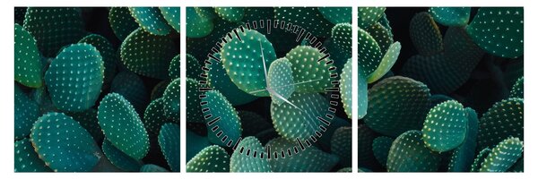 Kép - Opuntia (órával) (90x30 cm)
