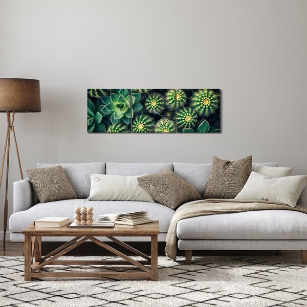 Kép - Kaktuszok (órával) (90x30 cm)