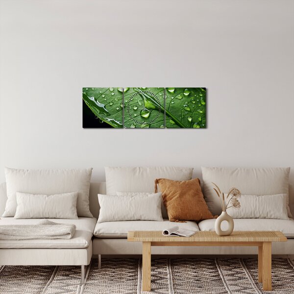 Kép - Levél eső után (órával) (90x30 cm)