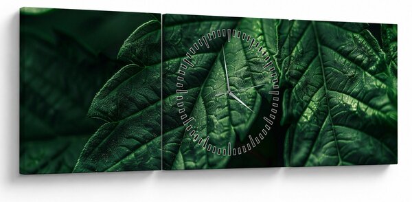 Kép - A lap részletei (órával) (90x30 cm)