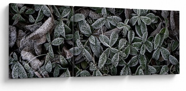 Kép - Fagyasztott növények (órával) (90x30 cm)