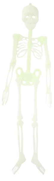 Sinsay - Halloween függő dekoráció csontváz formában - fehér