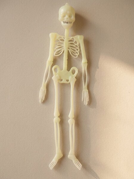 Sinsay - Halloween függő dekoráció csontváz formában - fehér