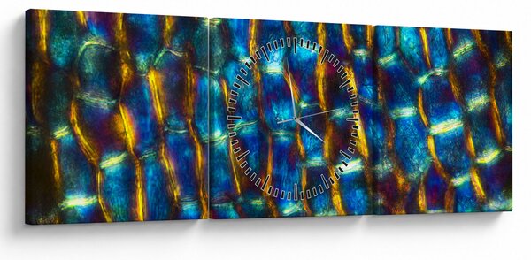 Kép - Sejtfal (órával) (90x30 cm)