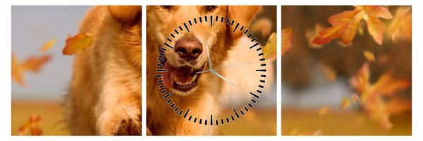 Kép - Golden Retriever (órával) (90x30 cm)