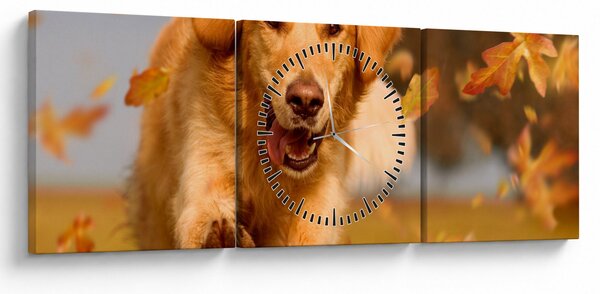 Kép - Golden Retriever (órával) (90x30 cm)