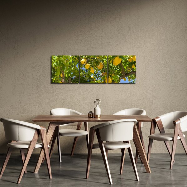 Kép - Citromfa (órával) (90x30 cm)