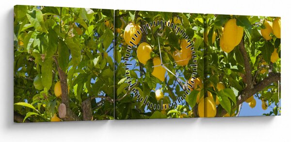 Kép - Citromfa (órával) (90x30 cm)