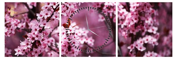 Kép - Rózsaszín sakura (órával) (90x30 cm)