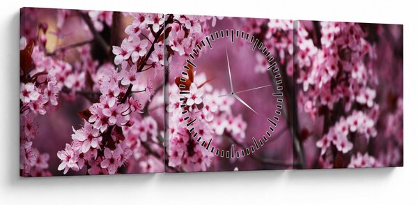 Kép - Rózsaszín sakura (órával) (90x30 cm)