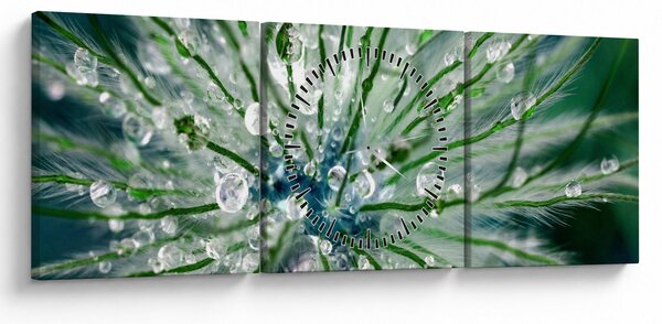 Kép - Makro kép egy virágról (órával) (90x30 cm)