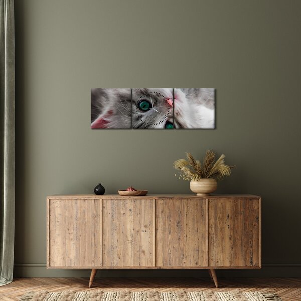 Kép - Macska zöld szemekkel (órával) (90x30 cm)