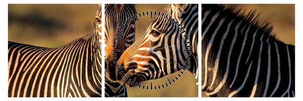 Kép - Két zebra (órával) (90x30 cm)