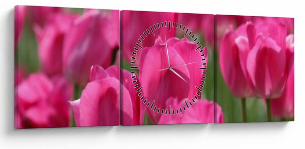 Kép - Rózsaszín tulipánok (órával) (90x30 cm)