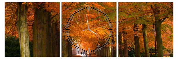 Kép - A Avenue of fák ősszel (órával) (90x30 cm)