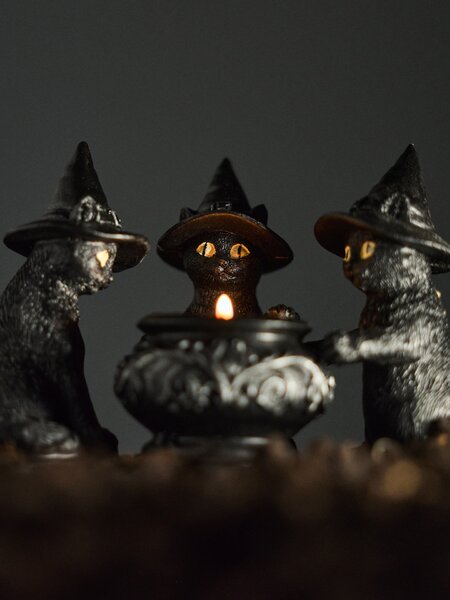 Sinsay - Halloween mécsestartó macskák és üst formában - fekete