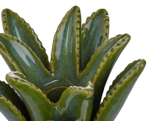 ALOE gyertyatartó