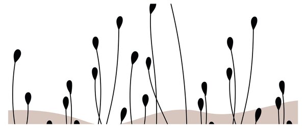 Kép - Grafikus rét N⁰1 (120x50 cm)