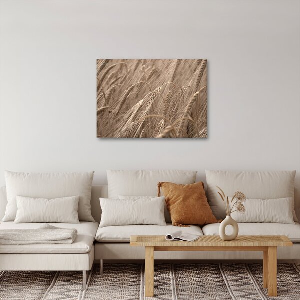 Kép - Az arany mező (70x50 cm)
