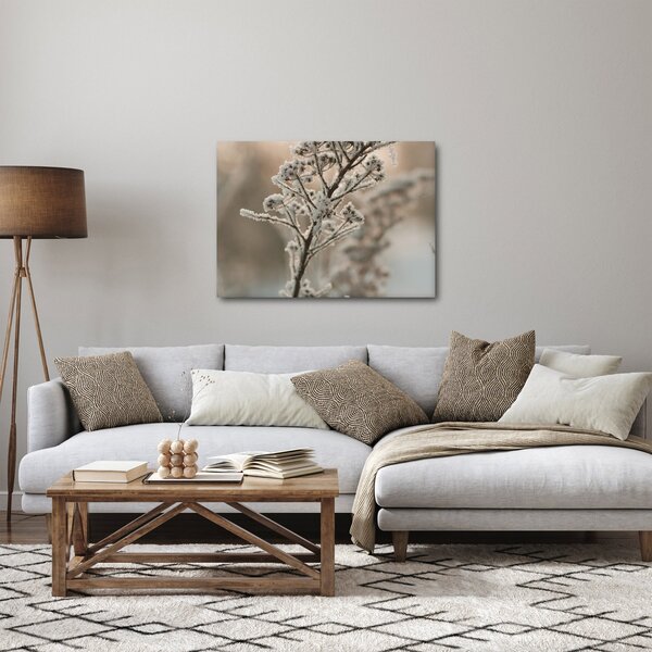 Kép - Növény fagyban (70x50 cm)
