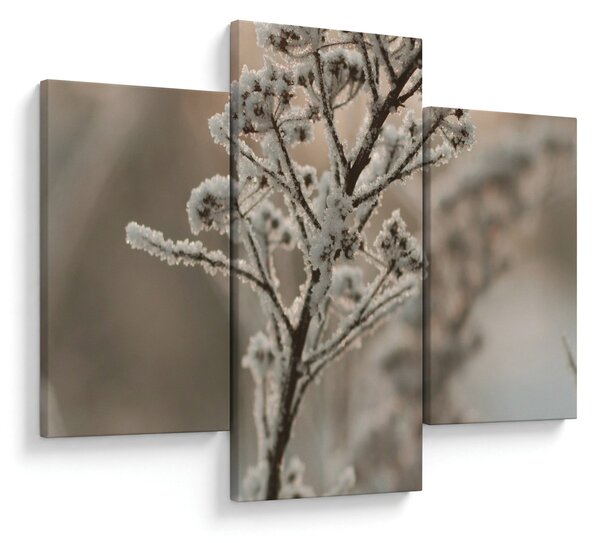 Kép - Növény fagyban (90x60 cm)
