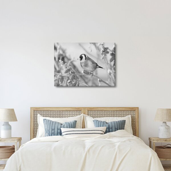 Kép - Egy madár télen (70x50 cm)