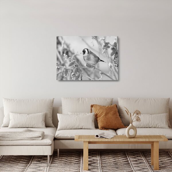 Üveg kép - Egy madár télen (70x50 cm)
