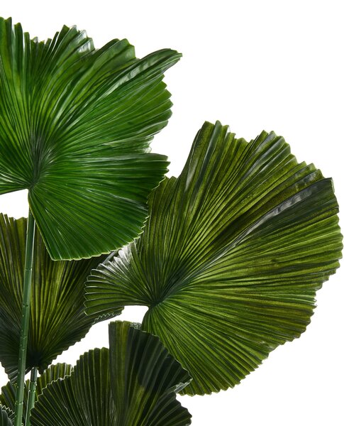 Műnövény RUFFLED FAN PALM 98 cm Zöld