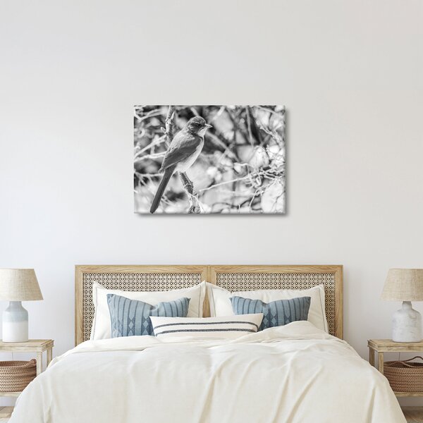 Kép - Kék madár télen (70x50 cm)