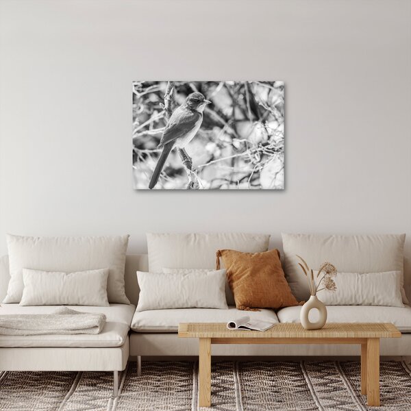 Kép - Kék madár télen (70x50 cm)