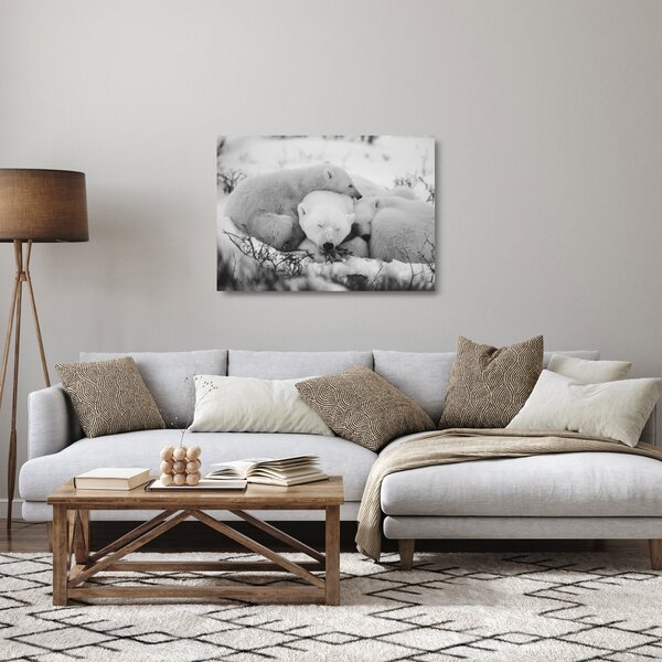 Üveg kép - Jegesmedvék (70x50 cm)
