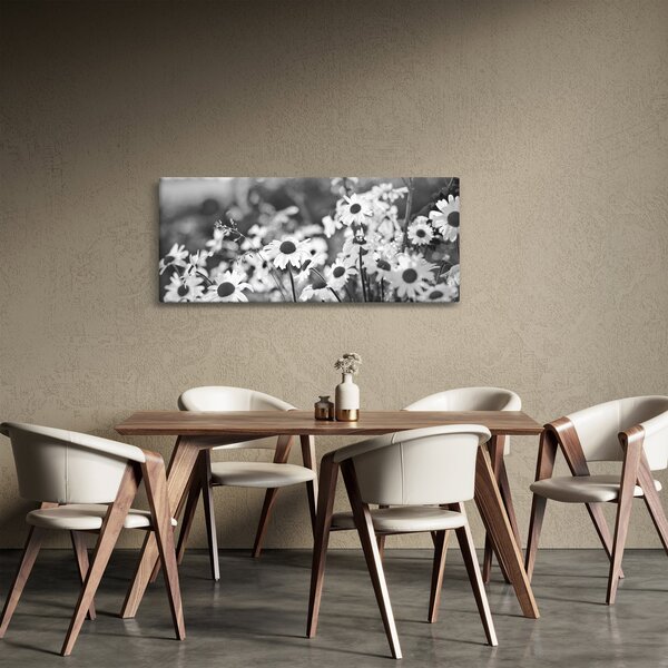 Kép - Százszorszépek (120x50 cm)