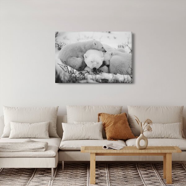 Kép - Jegesmedvék (90x60 cm)