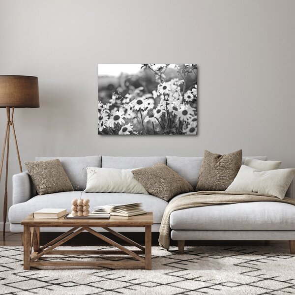 Kép - Százszorszépek (70x50 cm)