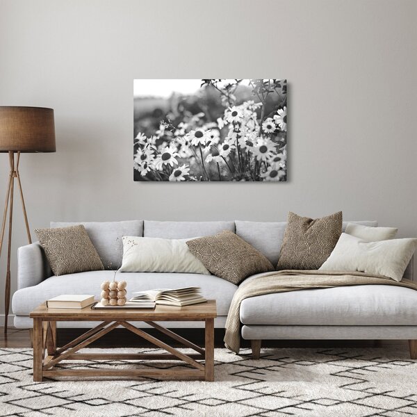 Kép - Százszorszépek (90x60 cm)