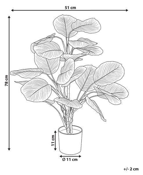 Műnövény CALATHEA 78 cm Zöld