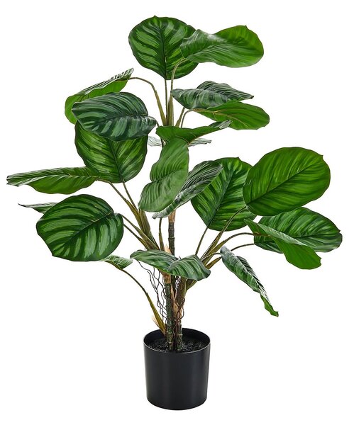 Műnövény CALATHEA 78 cm Zöld