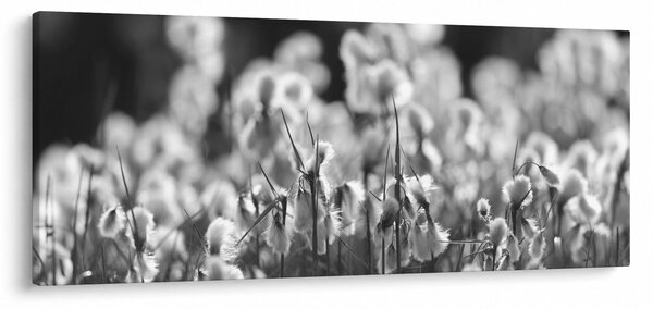 Kép - Nyári rét (120x50 cm)