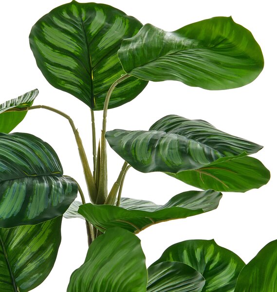 Műnövény CALATHEA 78 cm Zöld