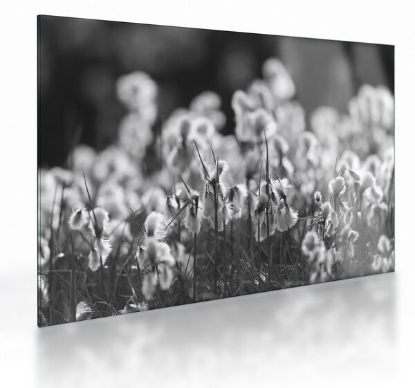 Üveg kép - Nyári rét (70x50 cm)