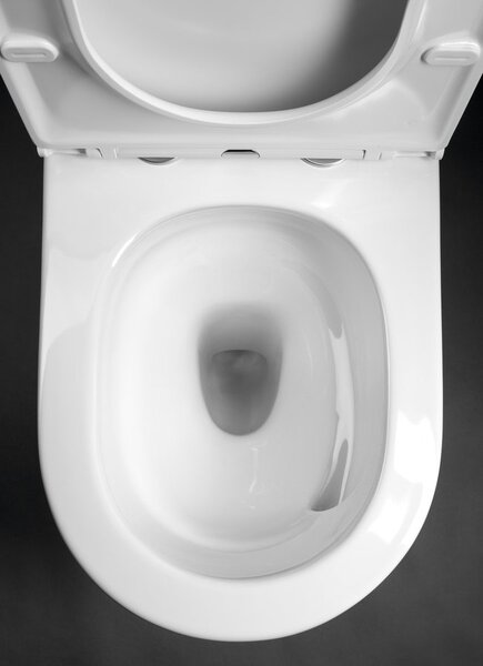 Sapho Sapho, DARIO RIMLESS WC kombinált csésze ciszternával, alsó/hátsó hulladék, fehér, PC106V