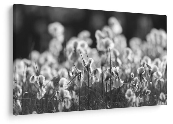 Kép - Nyári rét (90x60 cm)