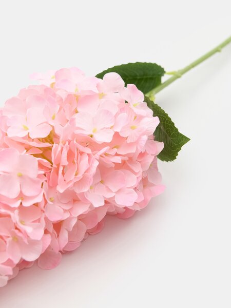 Sinsay - Dísznövény ág formában - pasztellpink