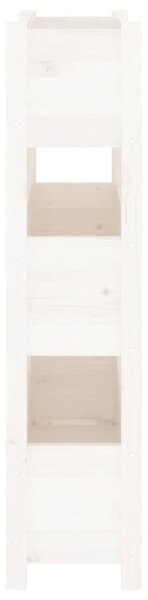 Fehér tömör fenyőfa növénytartó 77x25x104,5 cm